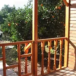 Ugur 4* Çıralı