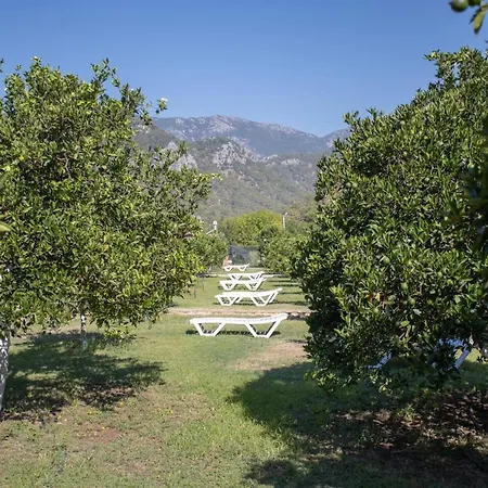 Ugur Guest house Cirali