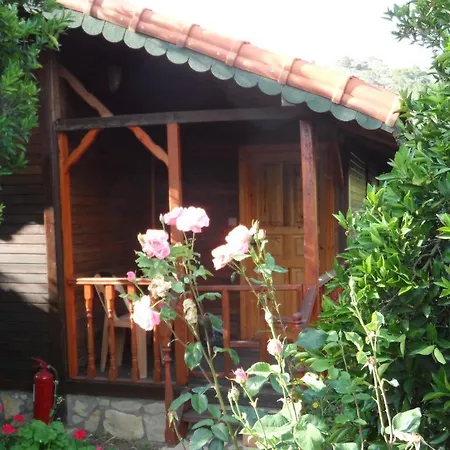 Pensjonat Ugur 4*