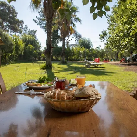 Ugur Guest house