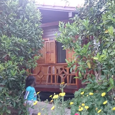 Ugur Guest house *