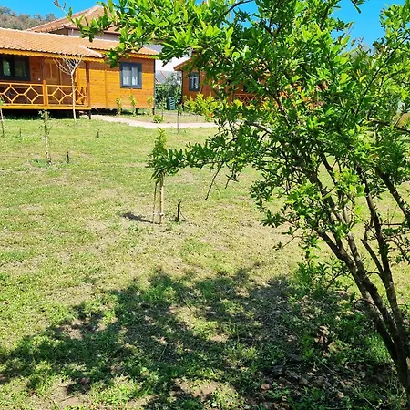 Guest house Ugur *