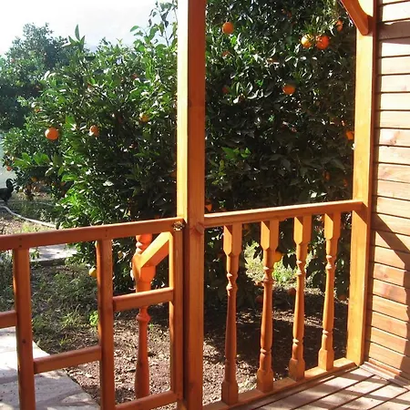 Ugur 4* Çıralı